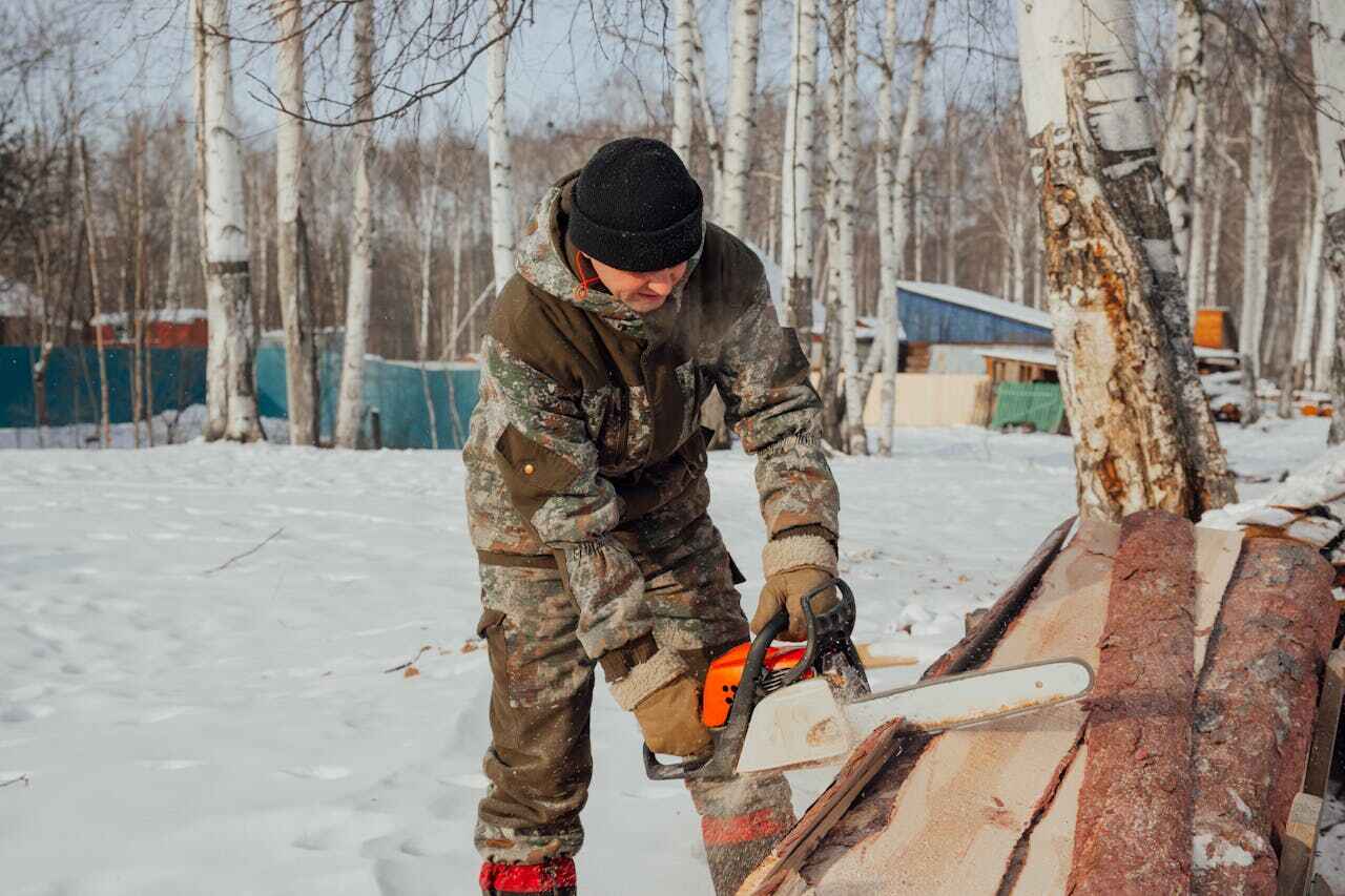 The Steps Involved in Our Tree Care Process in Stinnett, TX